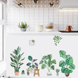 Potted Plants AW055