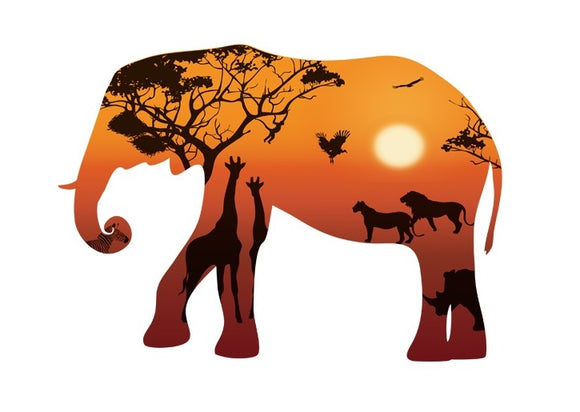 African Elephant Wall Sticker
