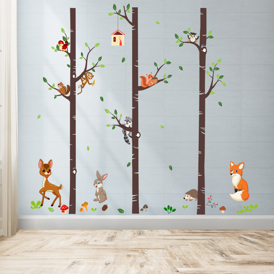 Tree Wall Decall High Resolution Images Evergreen Pine Forest Wall